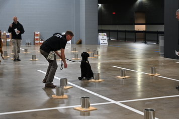 An ATF Special Agent Canine Handler and their canine participate in training