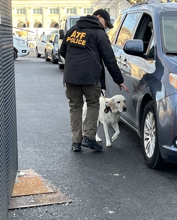 An ATF special agent canine handler works alongside their K-9 partner