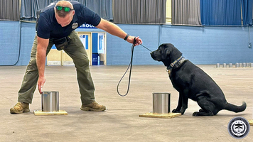 A K-9 and their handler participate in National Odor Recognition Testing