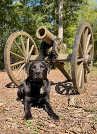 K-9 Wes in front of a vintage cannon