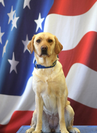 ATF Canine, Martha