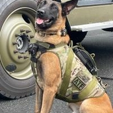 K9 Tico sits next to a Special Response Team (SRT) vehicle