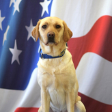 ATF Canine, Martha