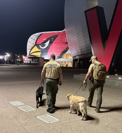 Two special agent canine handlers and their canines walk by a sports stadium