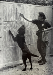 Special Agent Grace Reisling and first ATF Explosives Detection Canine Charlie